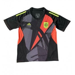 Spanje Keeper Uit tenue EK 2024 Korte Mouw