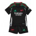Arsenal Kai Havertz #29 Uit tenue Kids 2024-25 Korte Mouw (+ Korte broeken)