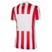 Atletico Madrid Thuis tenue Dames 2025-26 Korte Mouw