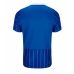Brighton Thuis tenue 2026-27 Korte Mouw