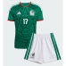 Mexico Orbelin Pineda #17 Thuis tenue Kids WK 2026 Korte Mouw (+ Korte broeken)