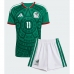 Mexico Santiago Gimenez #11 Thuis tenue Kids WK 2026 Korte Mouw (+ Korte broeken)