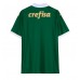Palmeiras Thuis tenue 2024-25 Korte Mouw