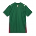 Palmeiras Thuis tenue 2026-27 Korte Mouw