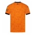Wolves Thuis tenue 2026-27 Korte Mouw